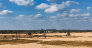 Drunense Duinen 2025